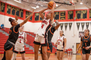 GALLERY: University Hawk's vs Martinsburg Girls Basketball Game